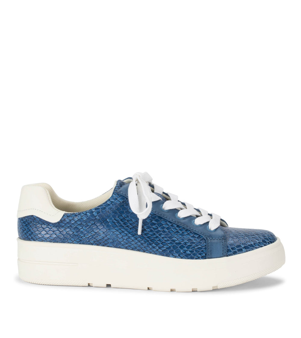Nishelle Lace Up Sneaker Ocean Snake - Women