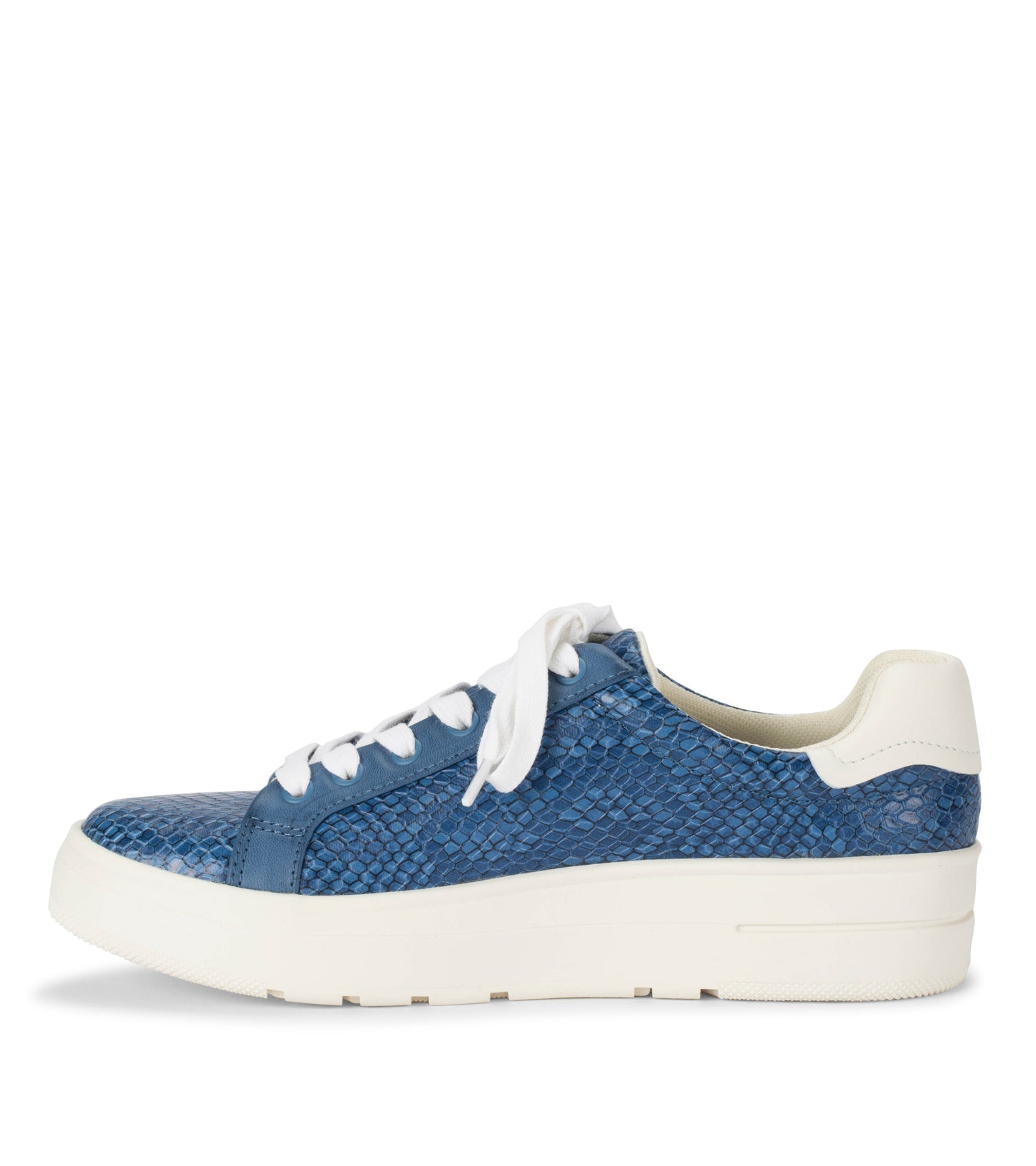 Nishelle Lace Up Sneaker Ocean Snake - Women
