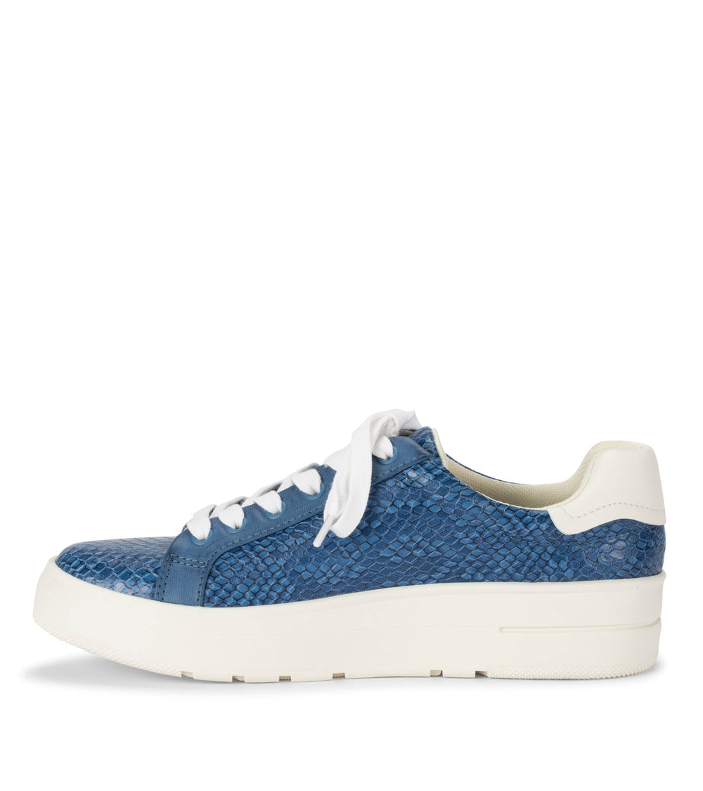 Nishelle Lace Up Sneaker Ocean Snake - Women