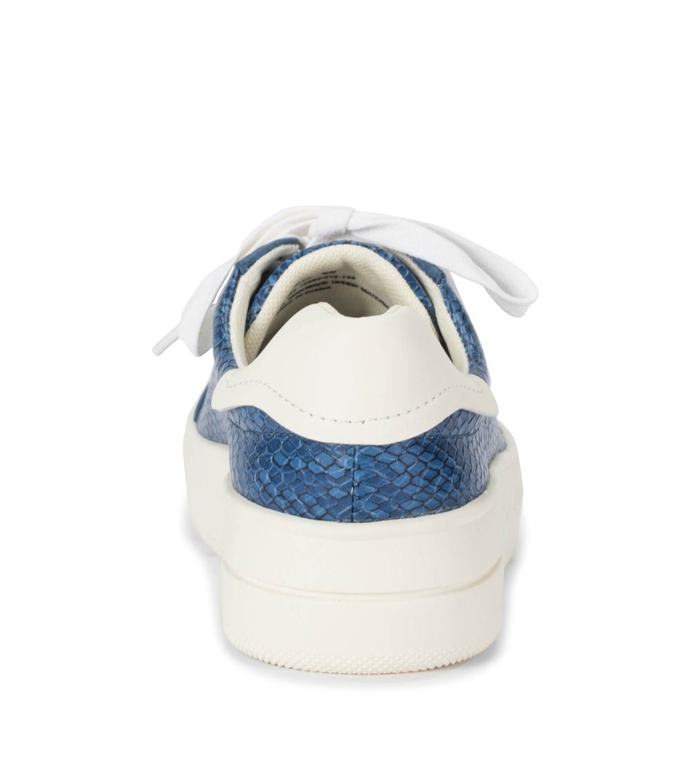 Nishelle Lace Up Sneaker Ocean Snake - Women