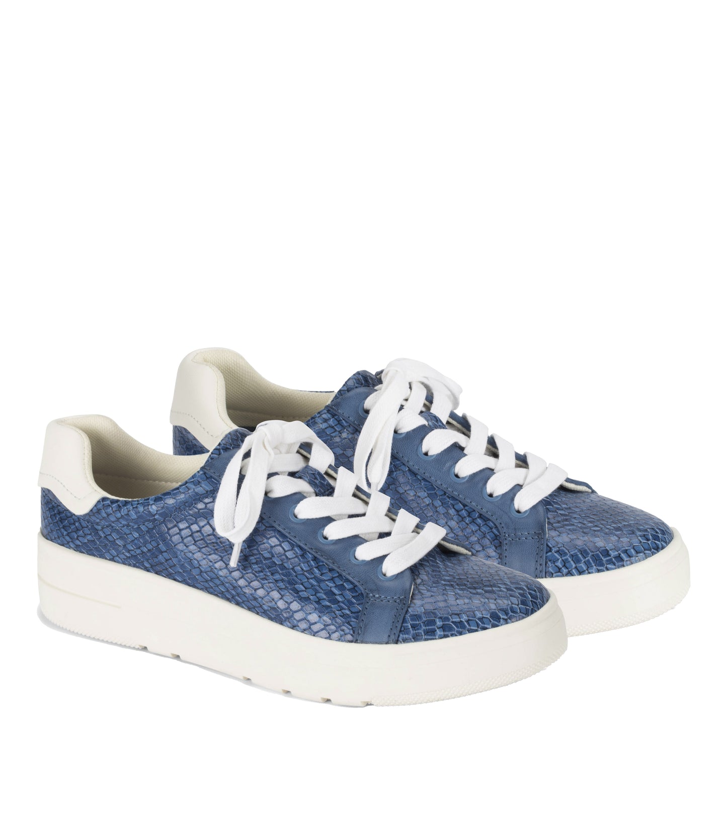 Nishelle Lace Up Sneaker Ocean Snake - Women