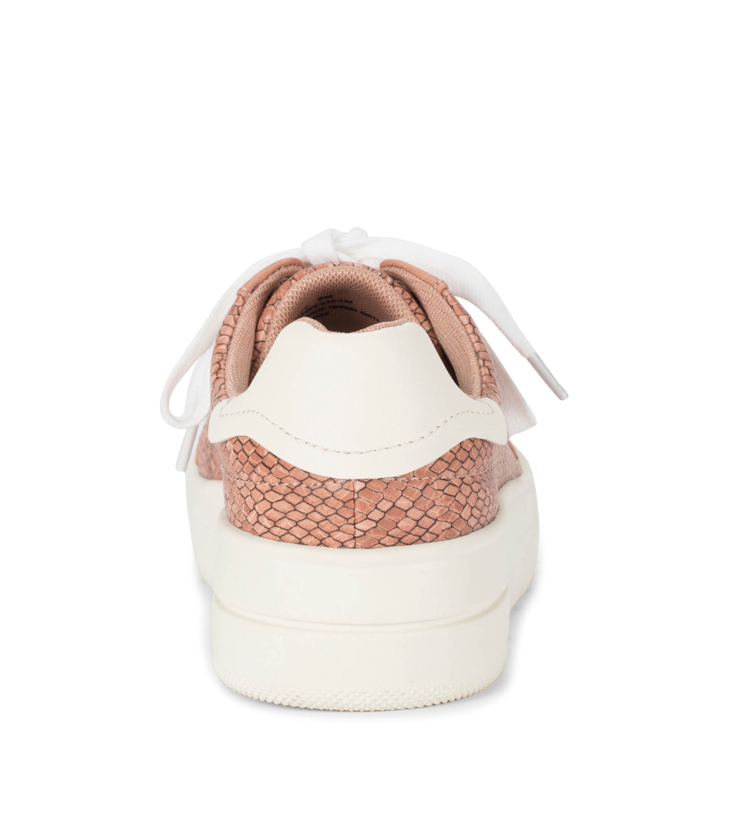 Nishelle Lace Up Sneaker Soft Pink Snake - Women